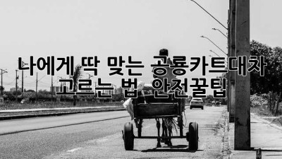 🦖💨 나에게 딱 맞는 공룡카트대차 고르는 법 & 안전꿀팁!